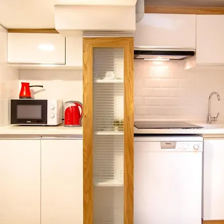 Apartment Centrally Located Fully Furnished Flat In Konak *